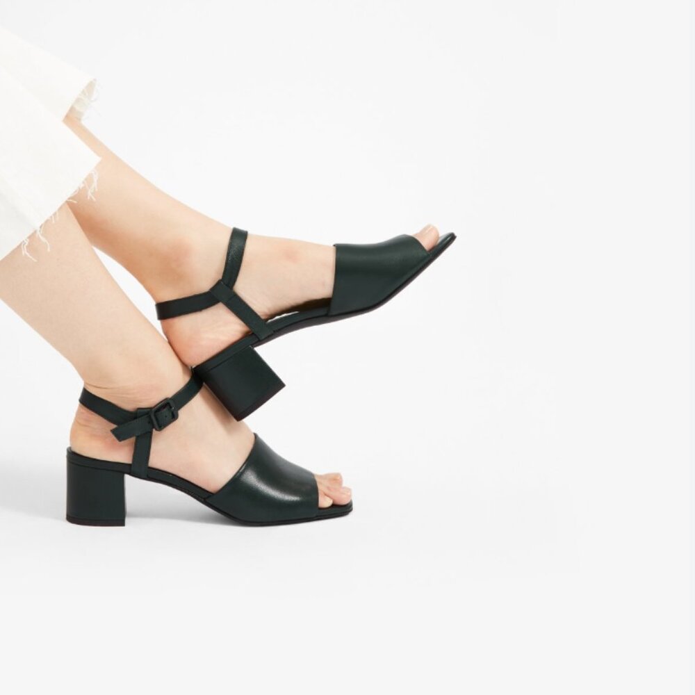 Everlane The Block Heel Sandals